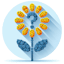 Why Flower Logo